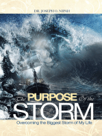 The Purpose of the Storm: Overcoming the Biggest Storm of My Life