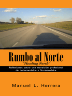 Rumbo Al Norte: Reflexiones Sobre Una Transición Profesional De Latinoamérica a Norteamérica