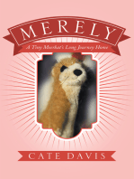 Merely: A Tiny Meerkat’s Long Journey Home