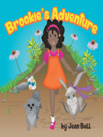 Brookie’S Adventure