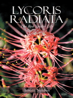 Lycoris Radiata: The Red Spider Lily