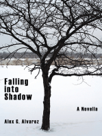 Falling into Shadow: A Novella