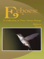 Echoes: