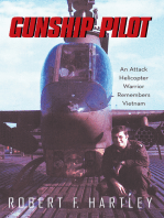 Gunship Pilot