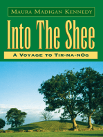 Into the Shee