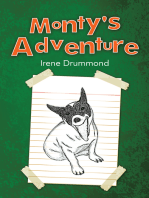 Monty's Adventure