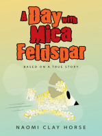 A Day with Mica Feldspar: Based on a True Story