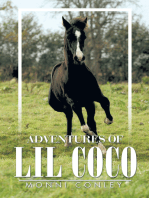 Adventures of Lil Coco