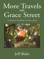 More Travels on Grace Street: A Sequel to Traveling on Grace Street