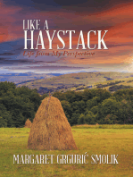 Like a Haystack: Life from My Perspective