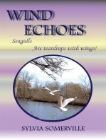 Wind Echoes: Seagulls Are Teardrops with Wings