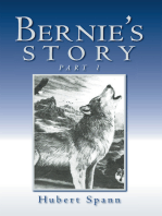 Bernie's Story: Part 1