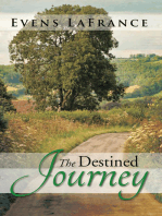The Destined Journey