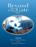 Beyond the Valley Gate Two