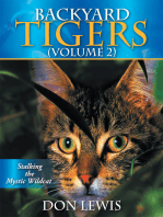 Backyard Tigers (Volume 2): Stalking the Mystic Wildcat