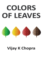 Colors of Leaves