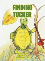 Finding Tucker
