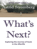 What's Next?: Exploring the Journey of Souls in the Afterlife