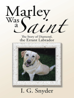 Marley Was a Saint: The Story of Diamond, the Errant Labrador