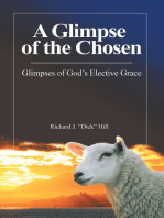 A Glimpse of the Chosen: Glimpses of God’s Elective Grace