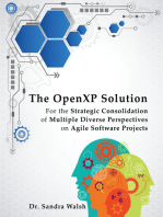 The Openxp Solution: For the Strategic Consolidation of Multiple Diverse Perspectives on Agile Software Projects