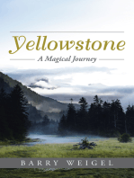 Yellowstone: A Magical Journey