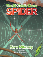 The St John’s Cross Spider