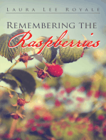 Remembering the Raspberries