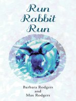 Run Rabbit Run