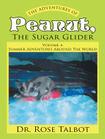 The Adventures of Peanut, the Sugar Glider: Volume 4: Summer Adventures Around the World