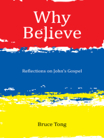 Why Believe: Reflections on John’S Gospel
