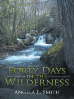 Forty Days in the Wilderness: A Walk with God