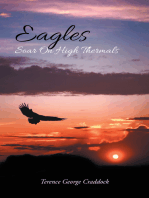 Eagles Soar on High Thermals