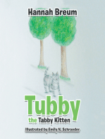 Tubby the Tabby Kitten