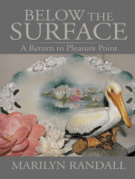 Below the Surface: A Return to Pleasure Point