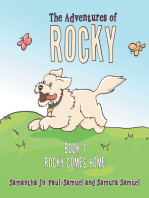 The Adventures of Rocky: Book 1 Rocky Comes Home