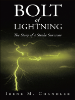 Bolt of Lightning: The Story of a Stroke Survivor