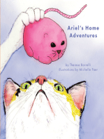Ariel’S Home Adventures