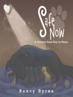 Safe Now: A Journey from Fear to Peace