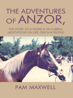 The Adventures of Anzor: The Story of a Horse & His Surreal Meditations on Life, Death & People!