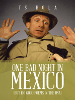 One Bad Night in Mexico: (But 100 Good Poems in the Usa)