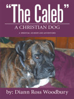 “The Caleb”: A Christian Dog