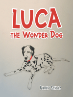 Luca the Wonder Dog