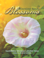 Morning Glory Blossoms