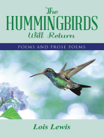 The Hummingbirds Will Return