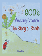 God’S Amazing Creation: The Story of Seeds