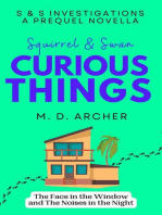 Squirrel & Swan Curious Things: S &  S Investigations, #0.5