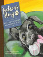 Jackson’S Story: One Dog’S Journey to His Forever Home