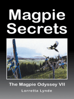 Magpie Secrets: The Magpie Odyssey VII