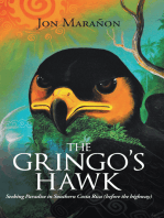 The Gringo’s Hawk